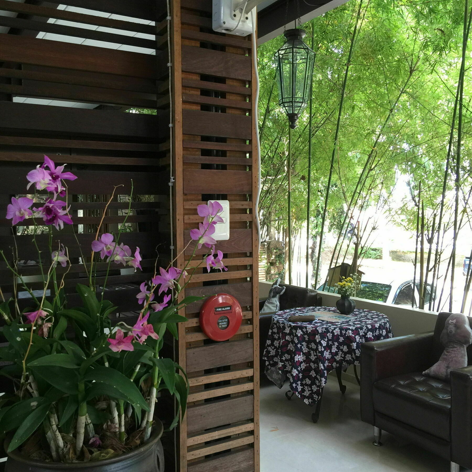 โรงแรม 3บีบูทีค เชียงใหม่ ภายนอก รูปภาพ